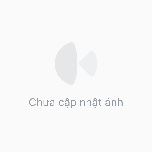 Túi